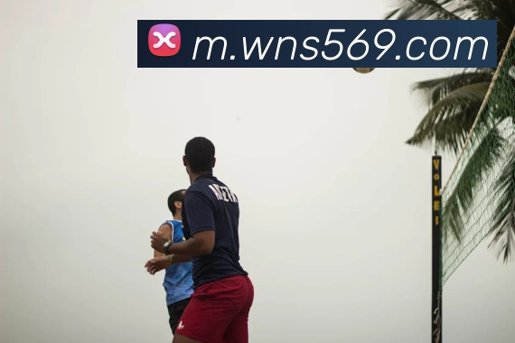奖项证书